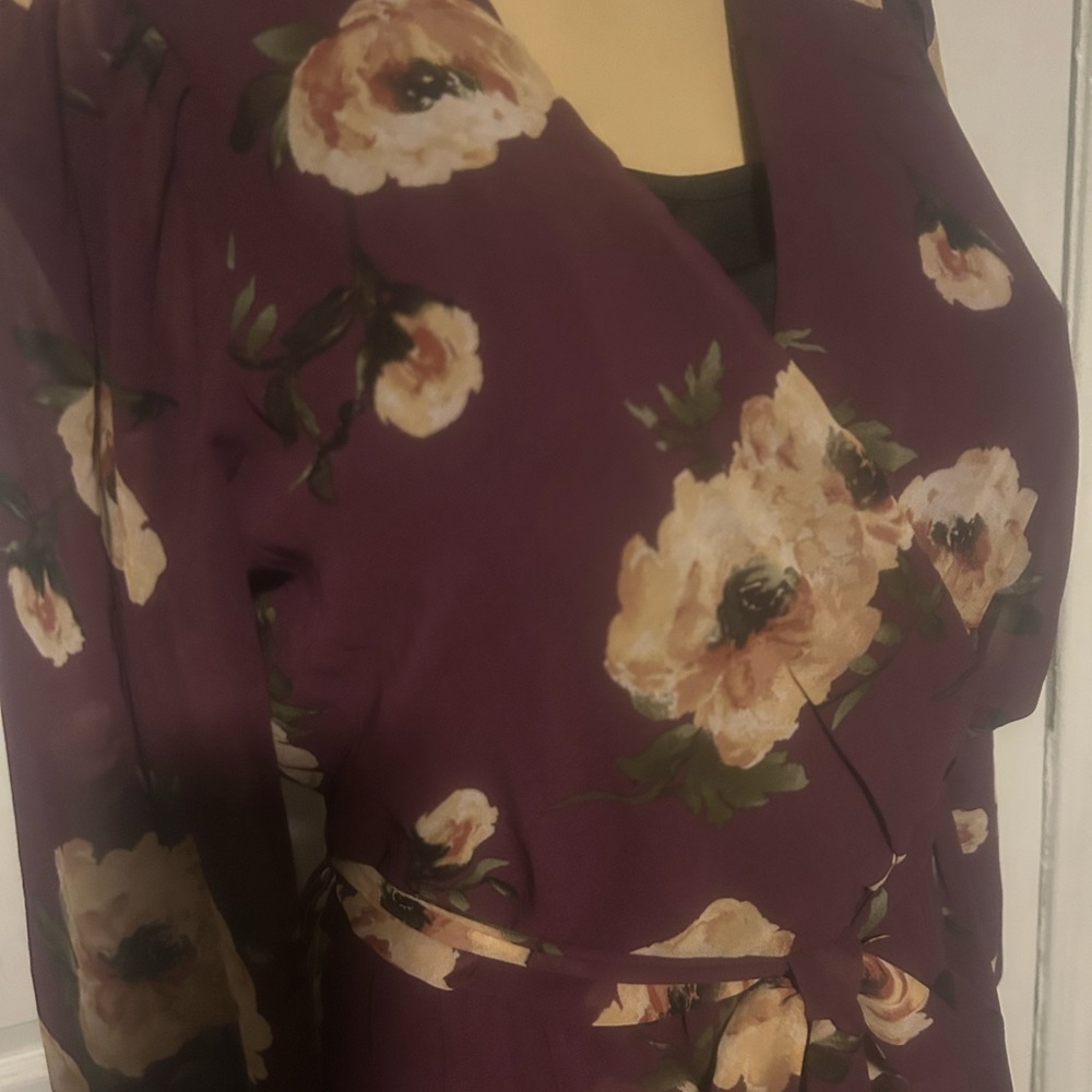 As U Wish Plum and Beige Dress